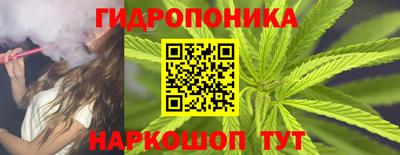PSILOCYBIN Будённовск