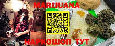 крисы Моздок