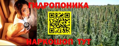 PSILOCYBIN Будённовск