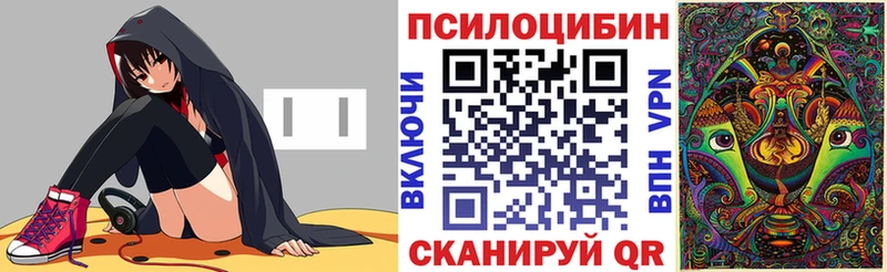 как найти закладки  Кемерово  Галлюциногенные грибы Psilocybe 