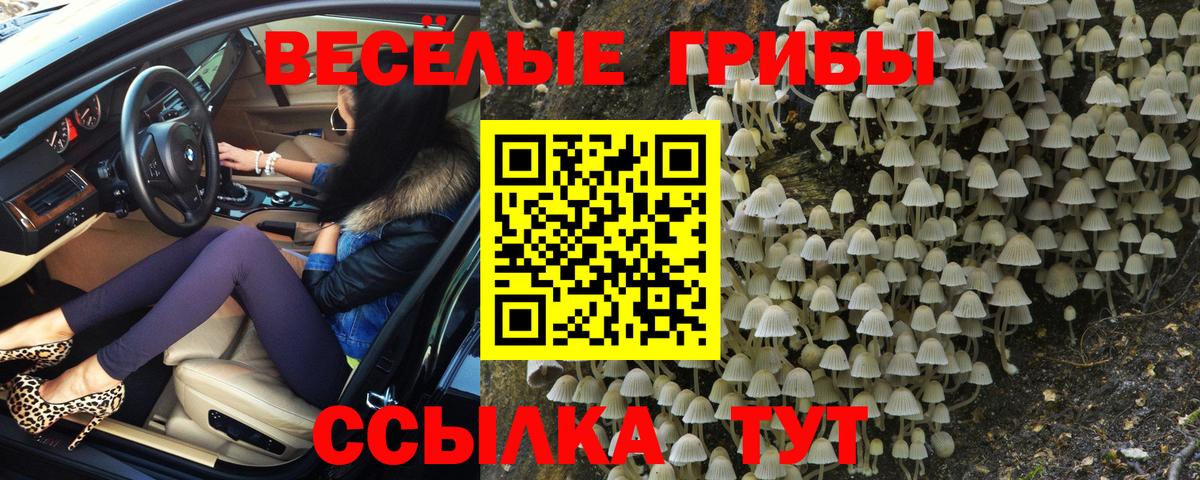 Кемерово  Галлюциногенные грибы MAGIC MUSHROOMS  Вход с VPN 