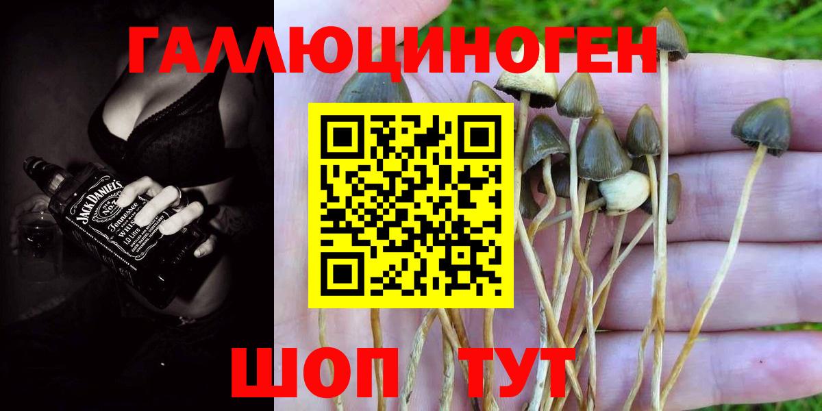 Псилоцибиновые грибы ЛСД Кемерово