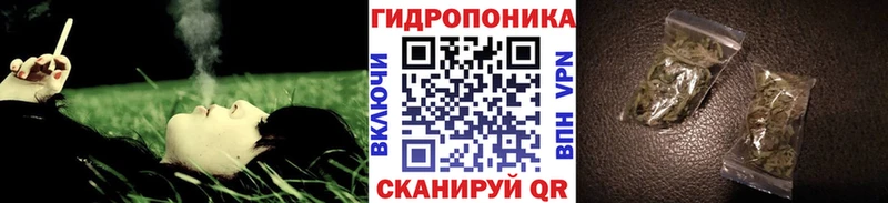 Бошки марихуана план Кемерово